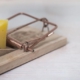 Webwinnaar Webdesign - SEO Aandachtspunten websites en webshops