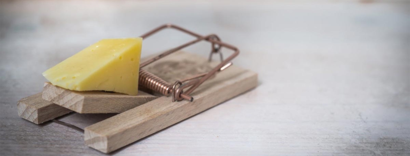 Webwinnaar Webdesign - SEO Aandachtspunten websites en webshops