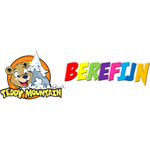 Berefijn - WebWinnaar - Nieuwe website of webshop maken - Hoog scoren in Google