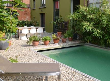 A modern small urban backyard with a gravel patio, potted plants, lounge chairs and a rectangular green swimming pool