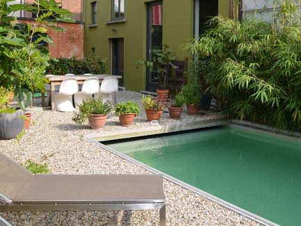A modern small urban backyard with a gravel patio, potted plants, lounge chairs and a rectangular green swimming pool