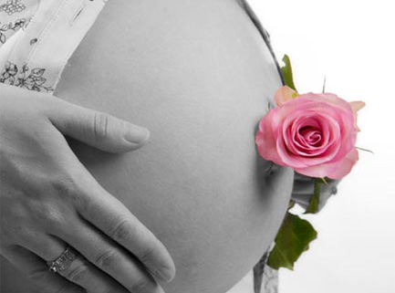 Pregnant woman holding belly with pink rose tucked at navel, gentle maternity wellness and osteopathy concept image