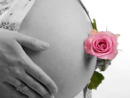 Pregnant woman holding belly with pink rose tucked at navel, gentle maternity wellness and osteopathy concept image