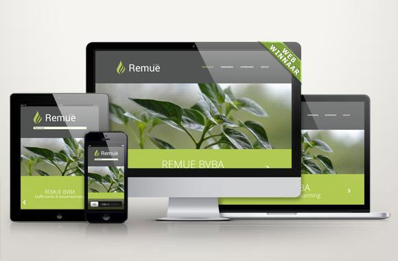 WebWinnaar - Webdesign Remue bvba - Wij maken mooie nieuwe websites of webshops die hoog scoren in Google en andere zoekmachines